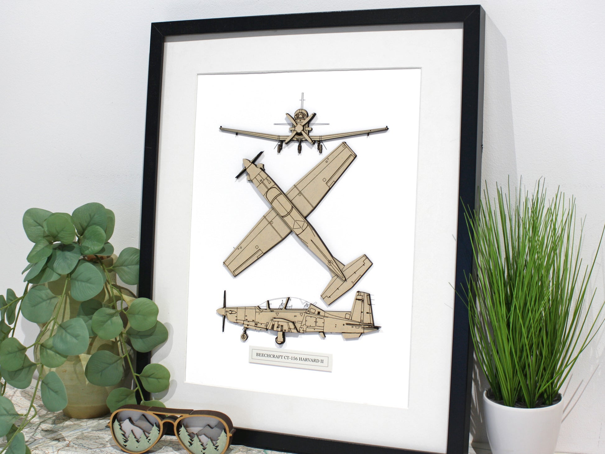 CT-156 Harvard II aviation art