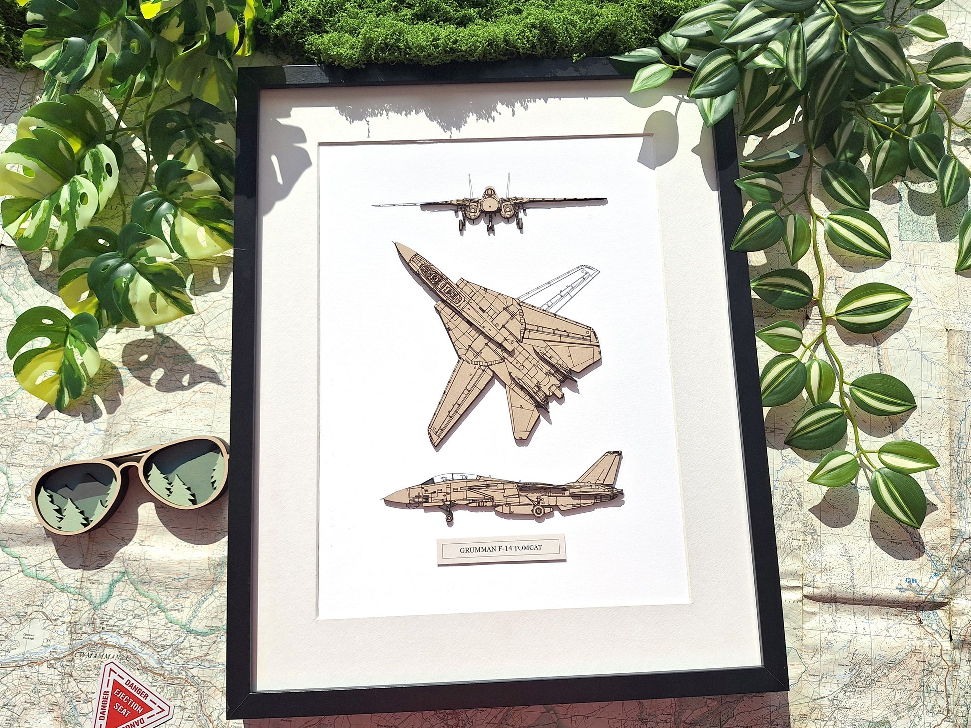 Grumman F-14 Tomcat aviation gift