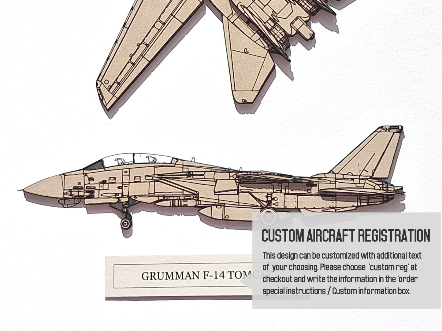 Grumman F-14 Tomcat custom aviation art