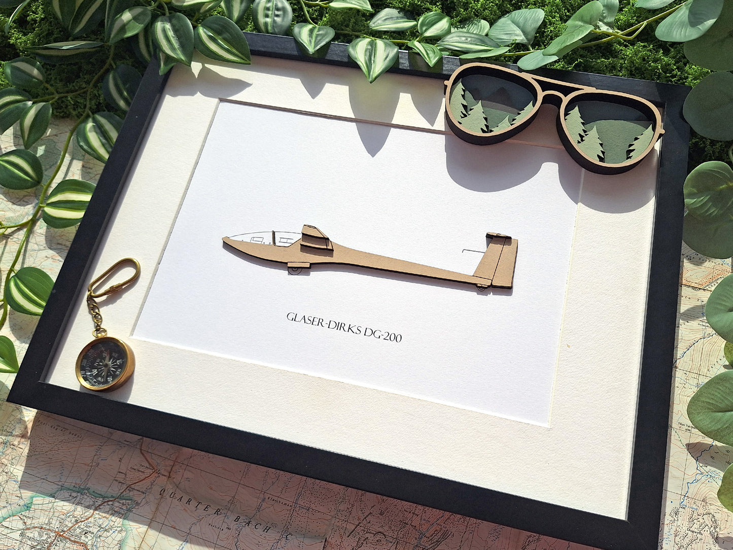 Glaser-Dirks DG-200 glider art