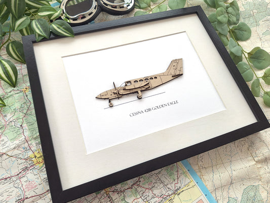 Cessna 421B Golden Eagle aviation art