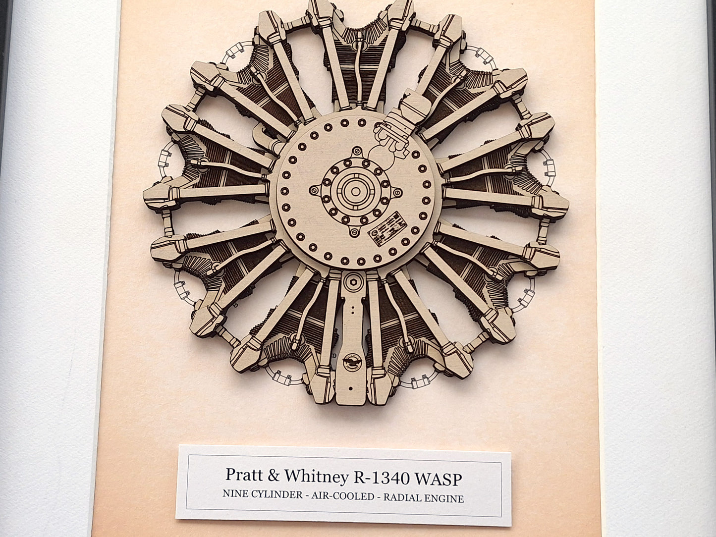 Pratt & Whitney R-1340 Wasp Radial Engine Aviation Art