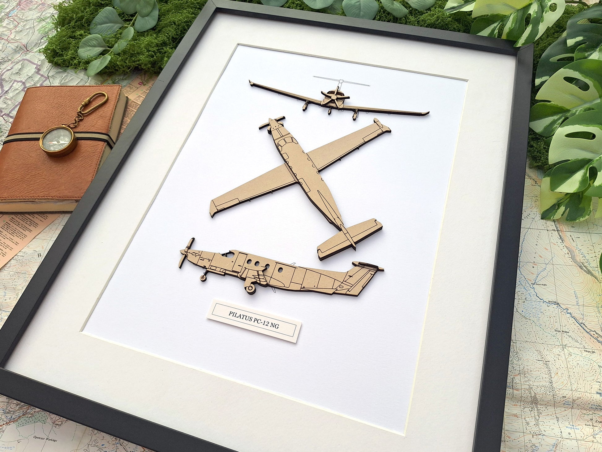 Pilatus PC-12 NG aviation art