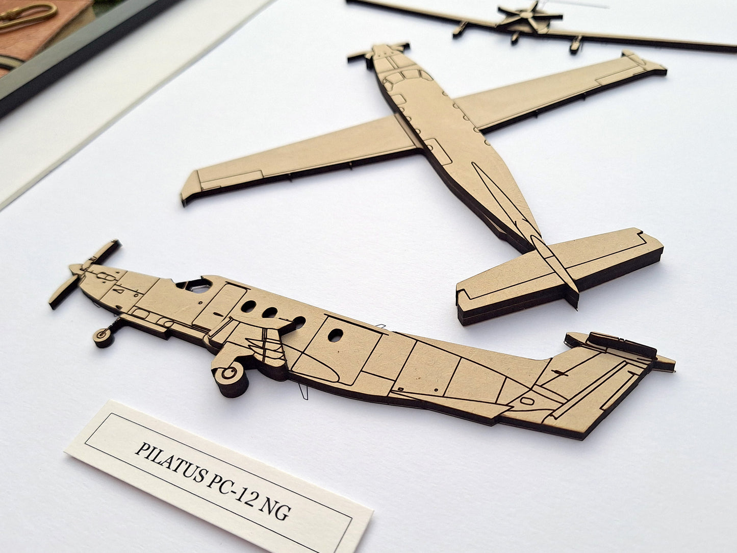 Pilatus PC-12 NG blueprint art
