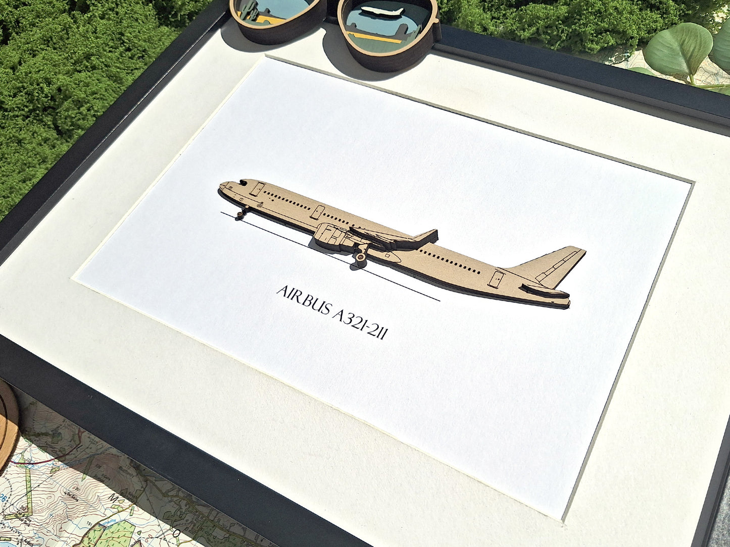 Airbus A321-211 aviation art
