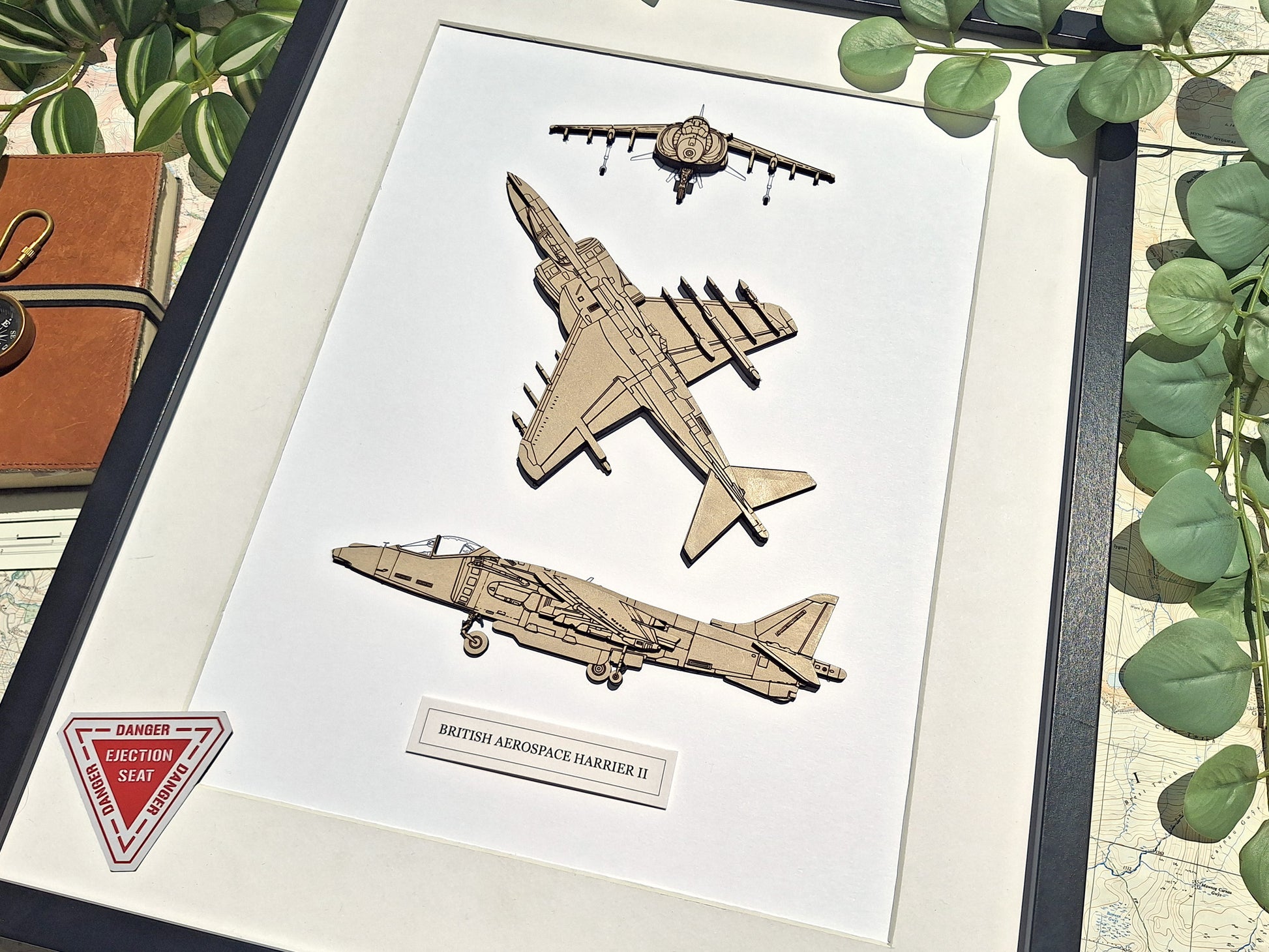 British Aerospace Harrier II aviation art