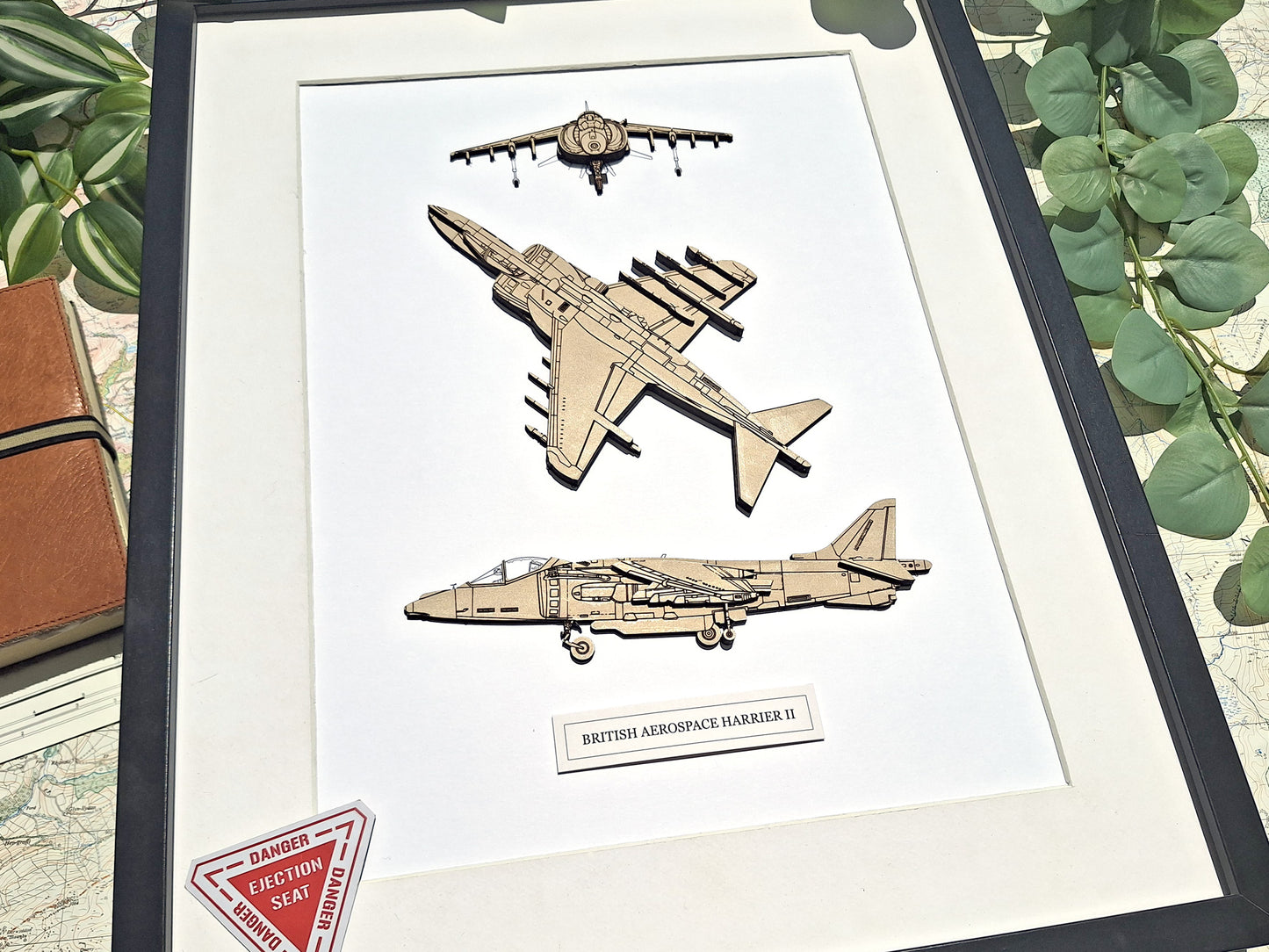 British Aerospace Harrier II aviation art