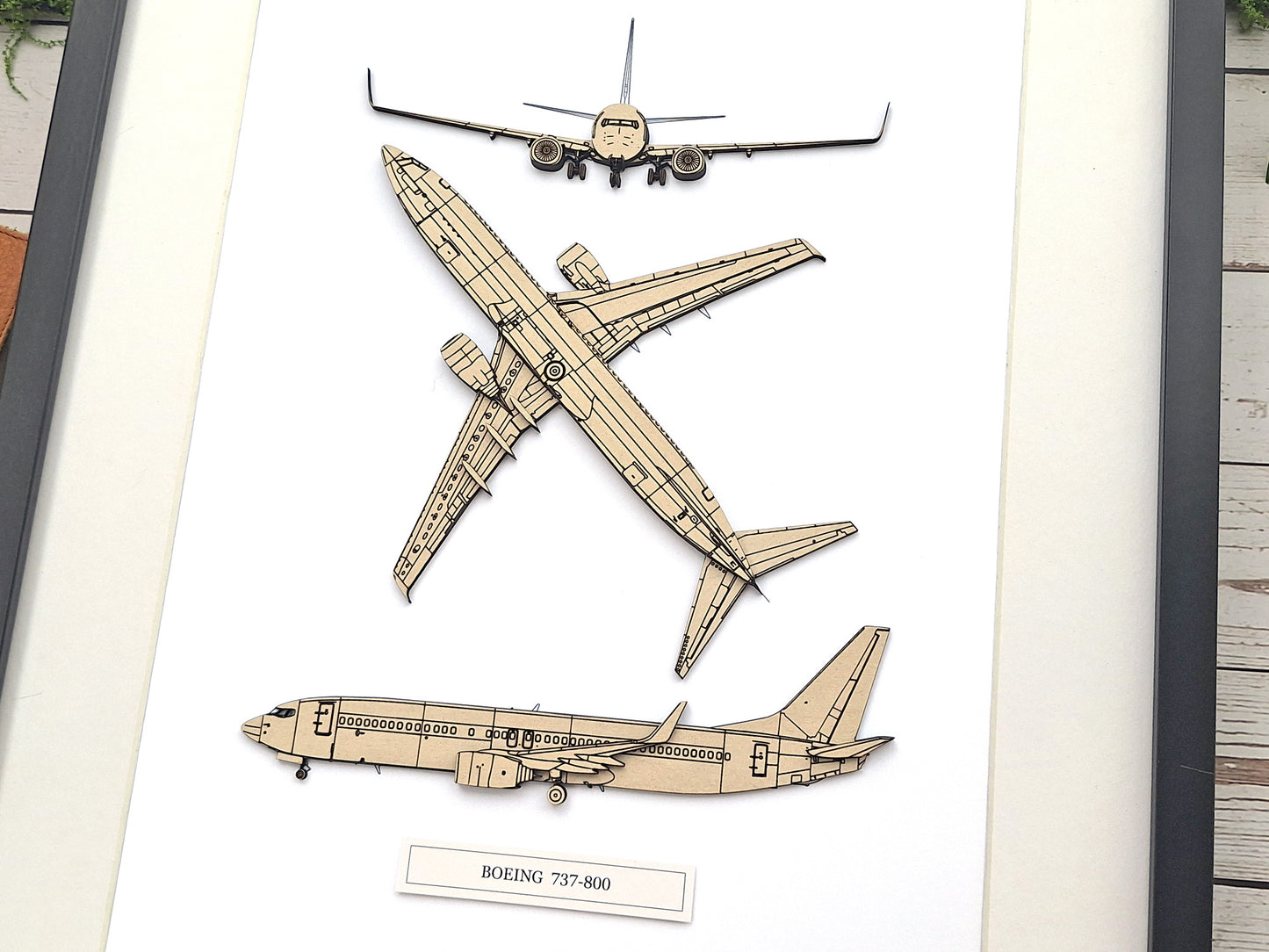 Boeing 737-800 pilot gifts