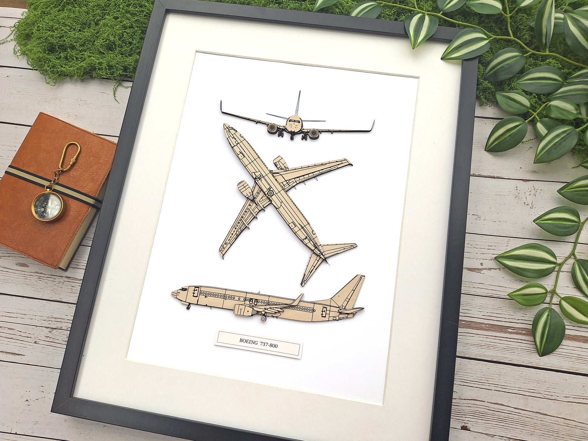 Boeing 737-800 aviation art