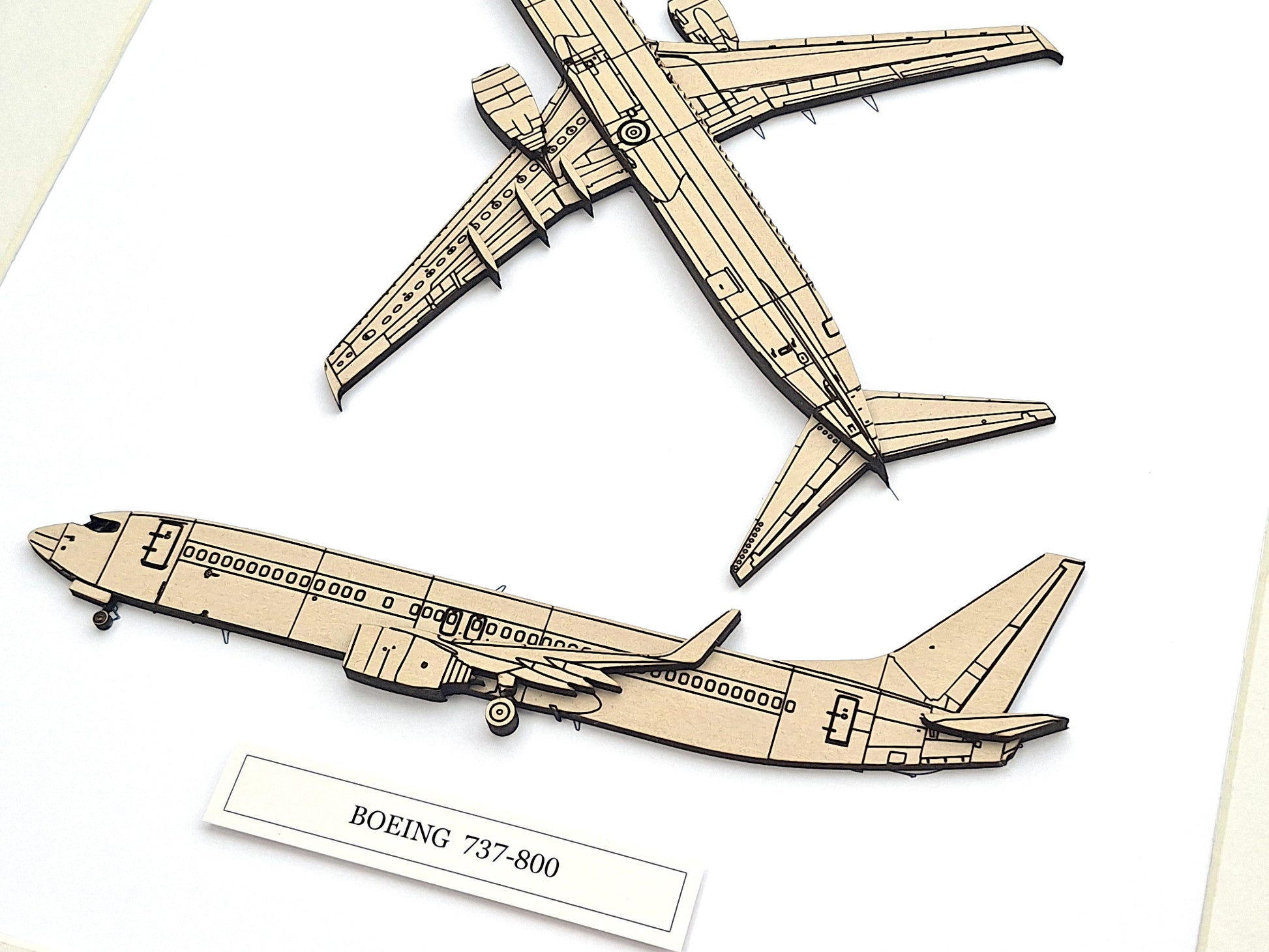 Boeing 737-800 aviation art