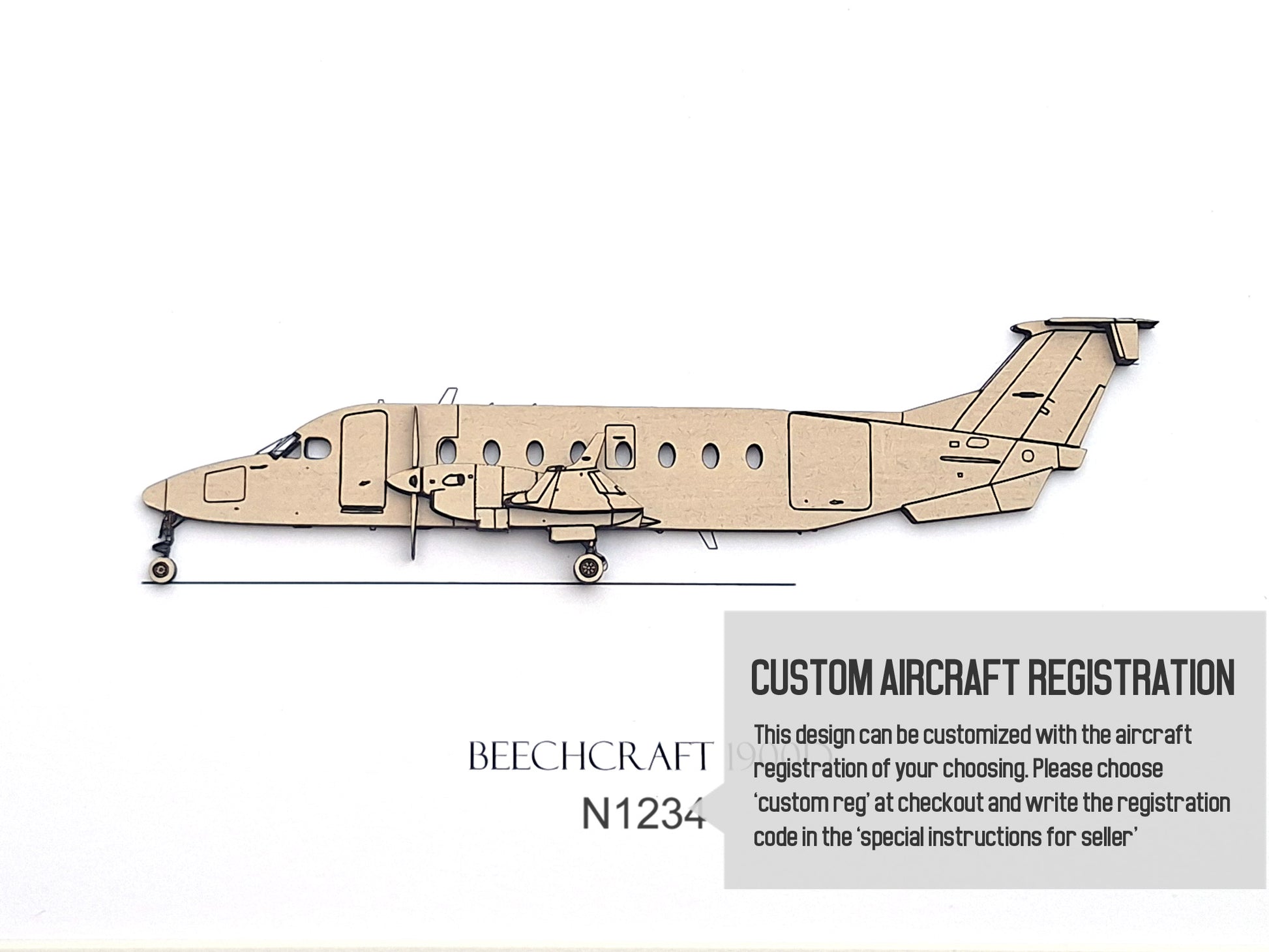 Beechcraft 1900D custom aviation art