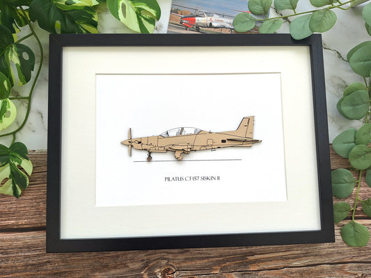 Pilatus CT-157 Siskin II RCAF aviation art