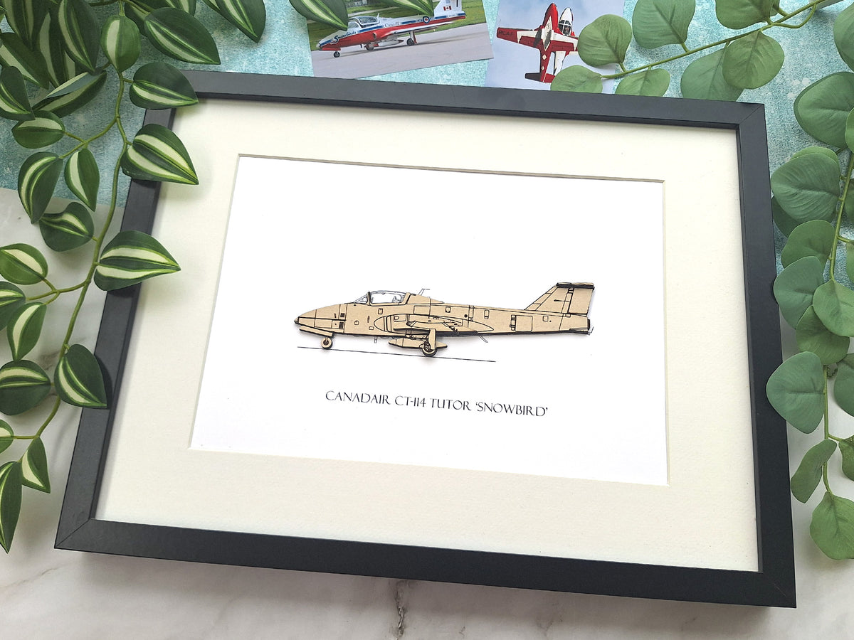Canadair CT-114 Tutor 'Snowbird' aviation art