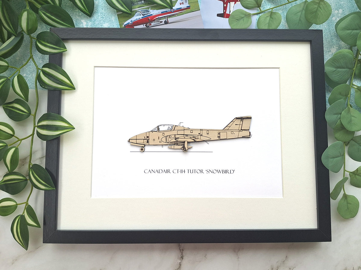 Canadair CT-114 Tutor 'Snowbird' aviation gifts