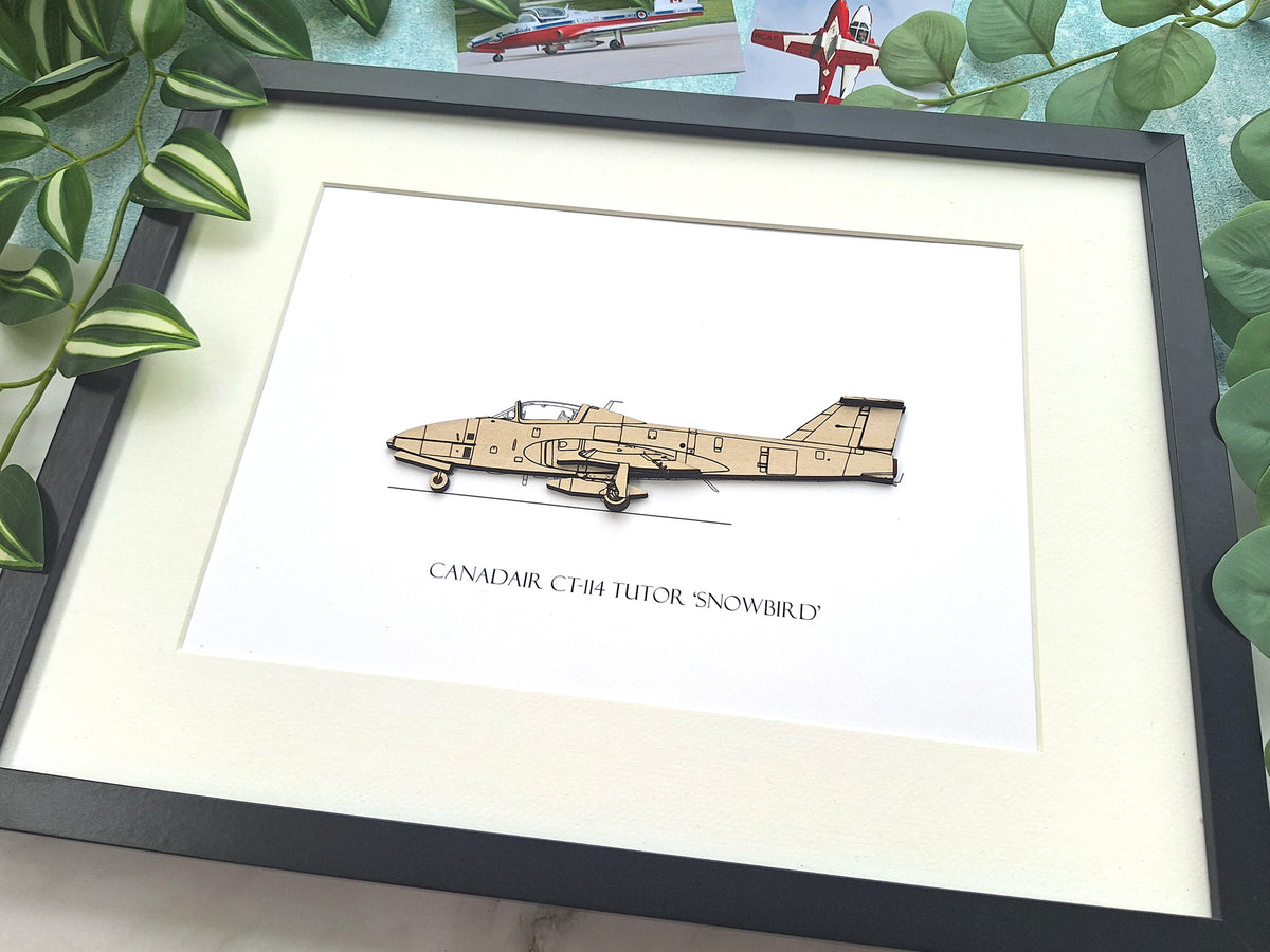 Canadair CT-114 Tutor 'Snowbird' blueprint art