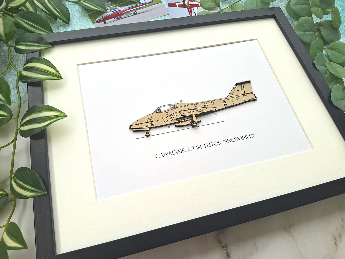 Canadair CT-114 Tutor 'Snowbird' aircraft art