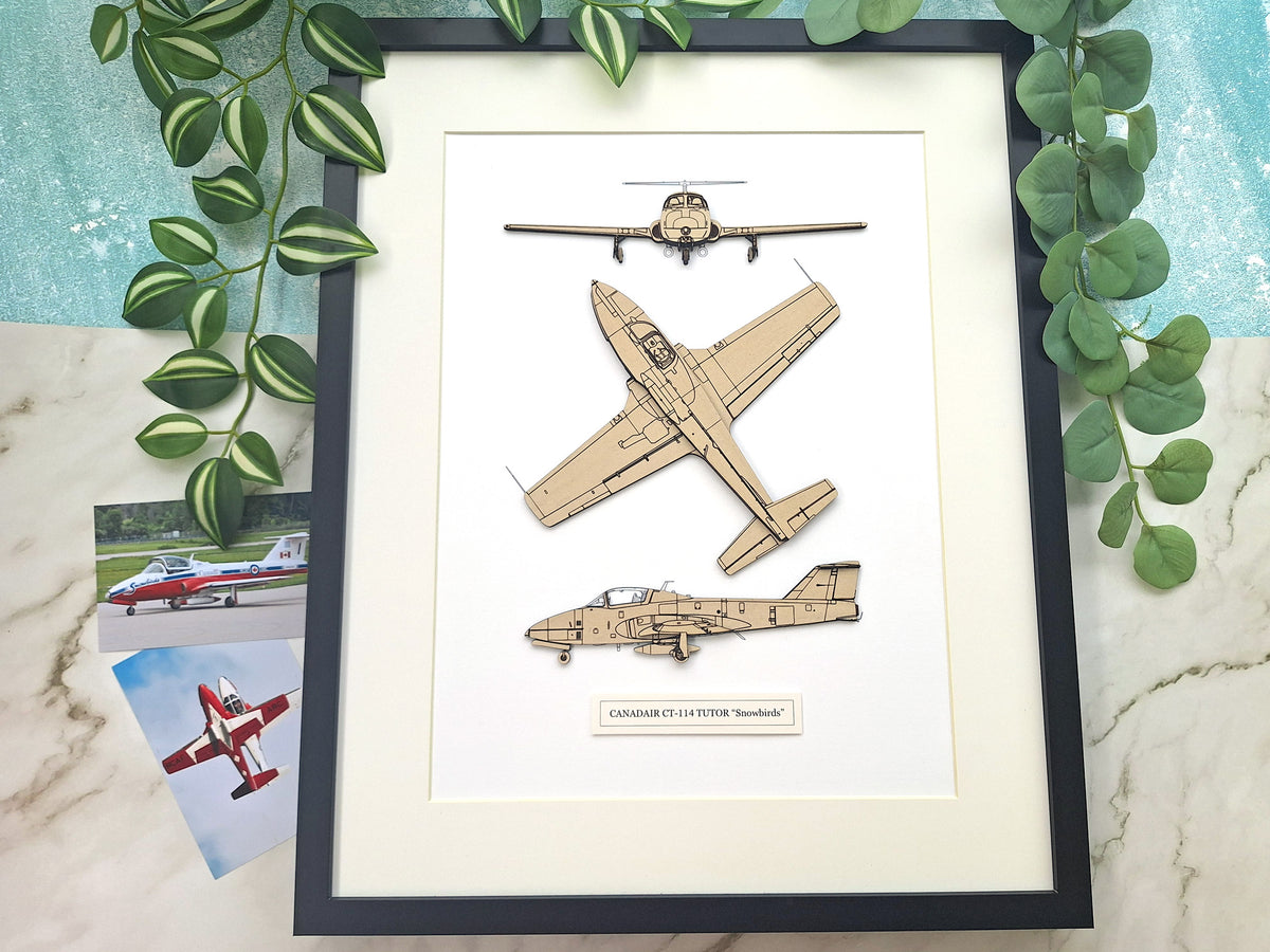 Canadair CT-114 Tutor 'Snowbirds' custom aviation art
