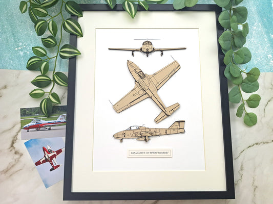 Canadair CT-114 Tutor 'Snowbirds' custom aviation art