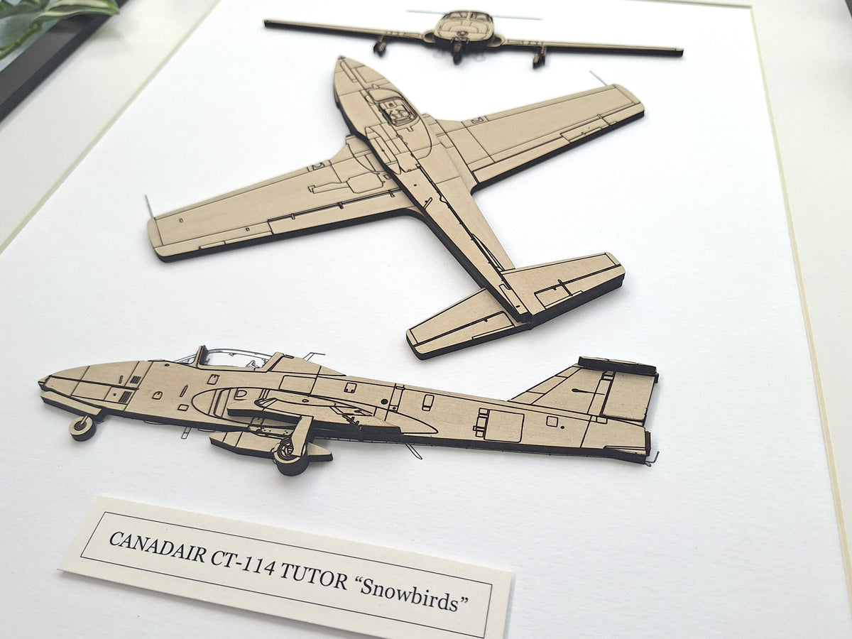 Canadair CT-114 Tutor 'Snowbirds' aviation art
