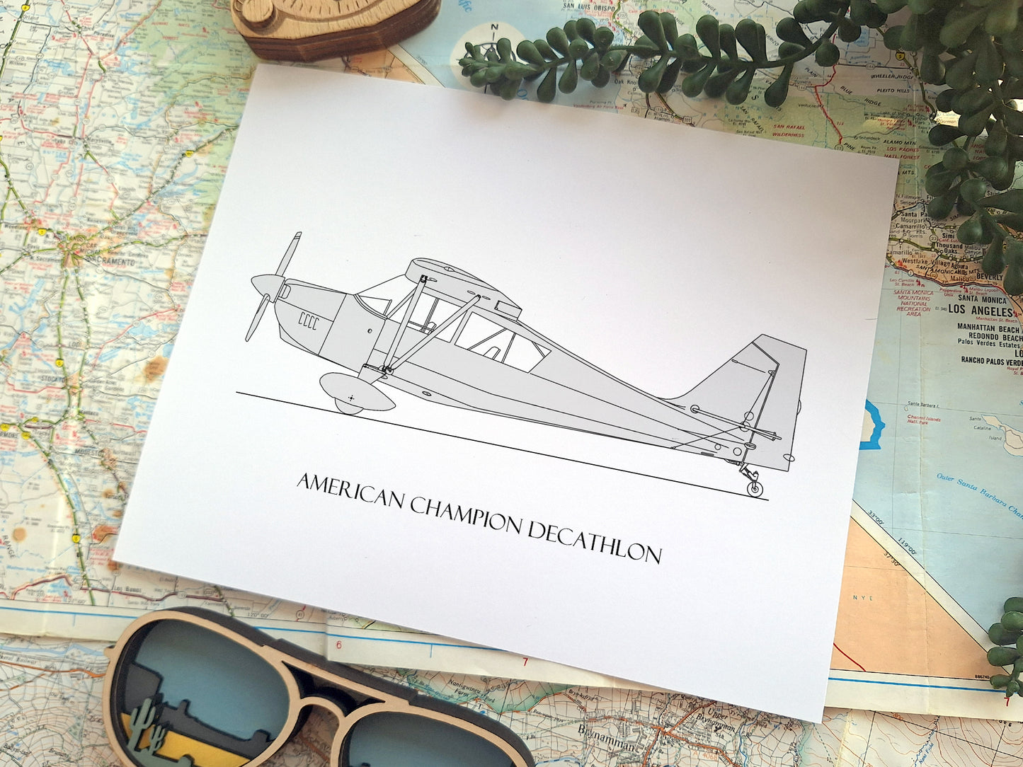 American Champion Decathlon aviation art