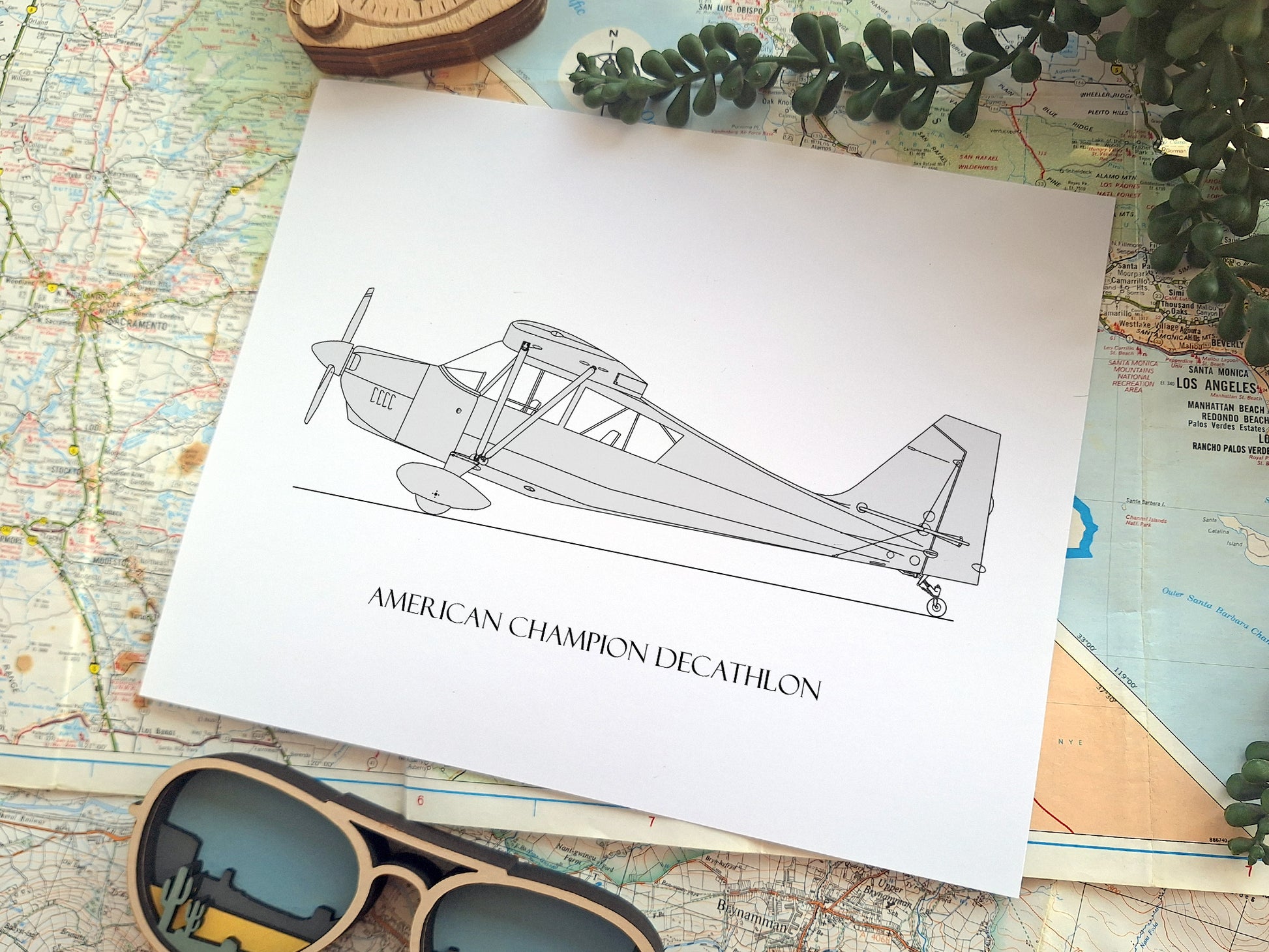 American Champion Decathlon aviation art