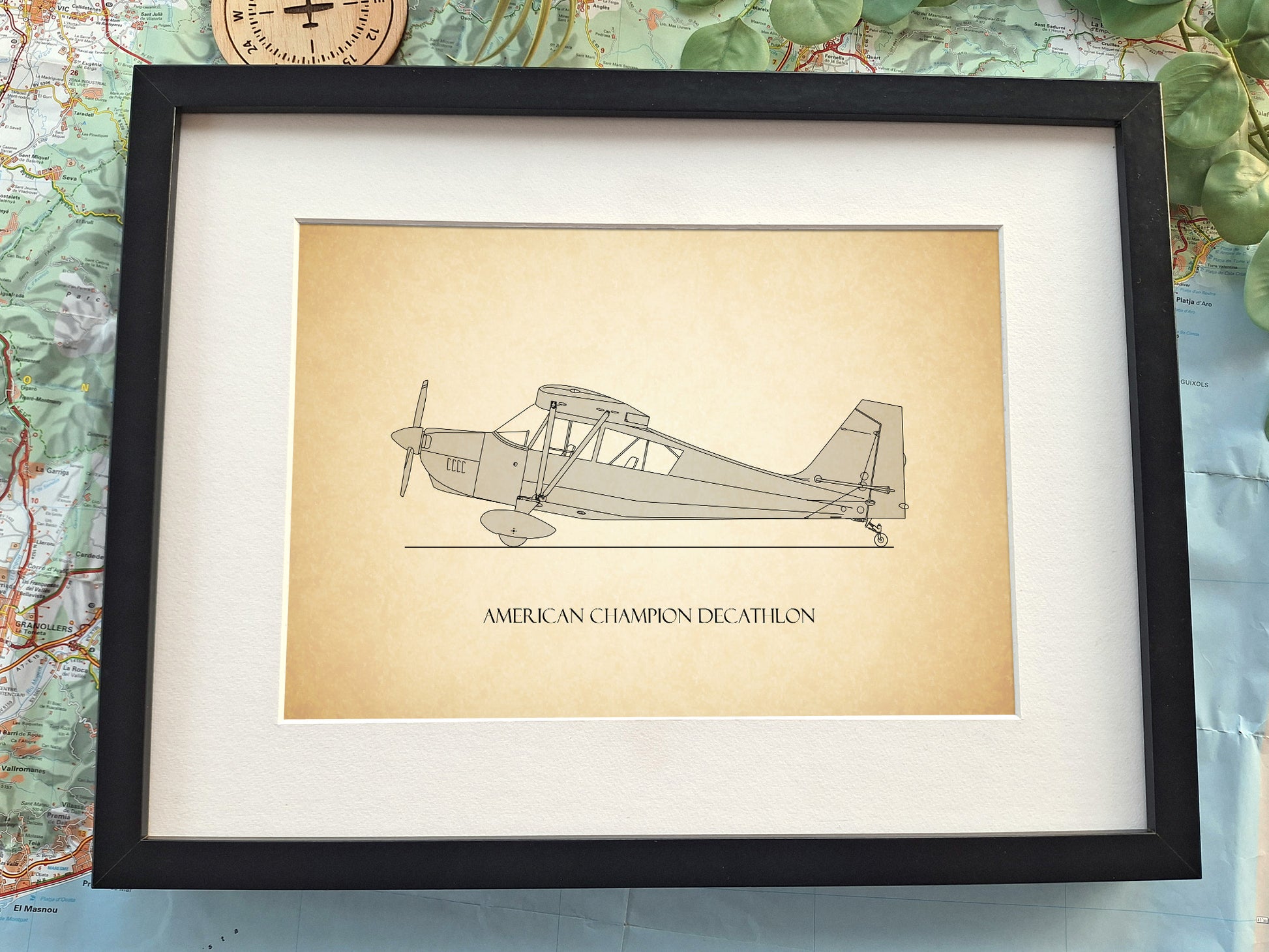 American Champion Decathlon pilot gifts