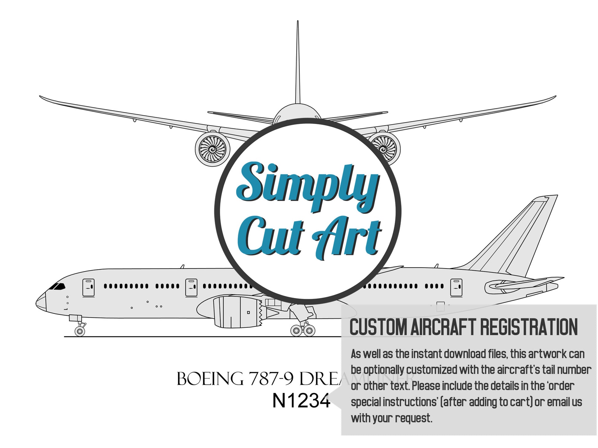 Boeing 787-9 Dreamliner custom artwork