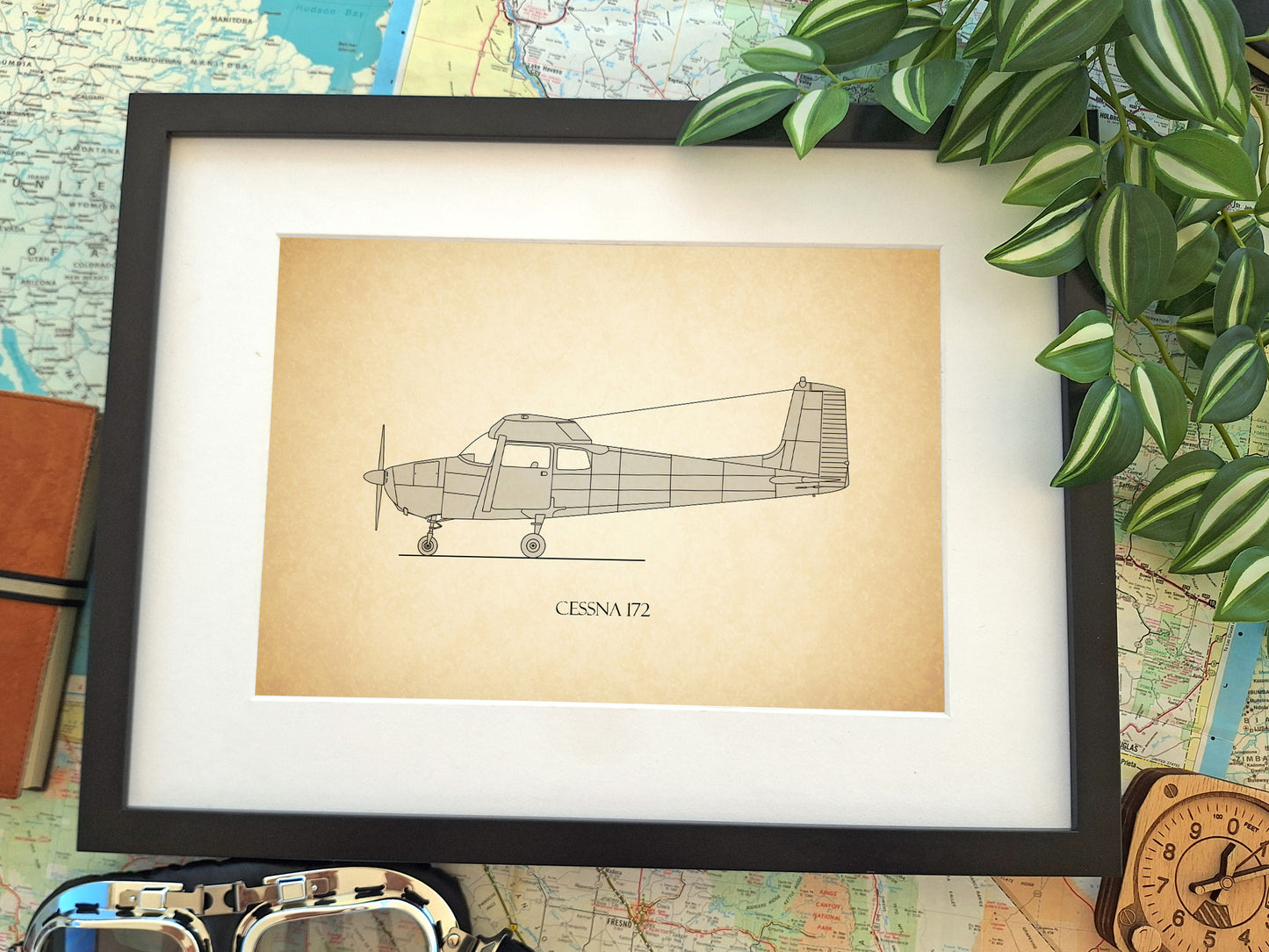 Cessna 172 straight tail artwork