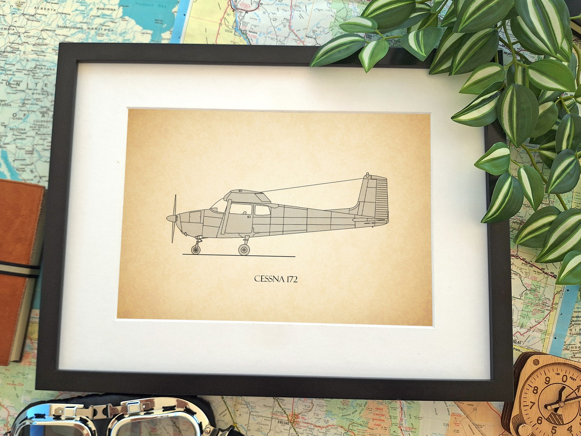 Cessna 172 straight tail artwork