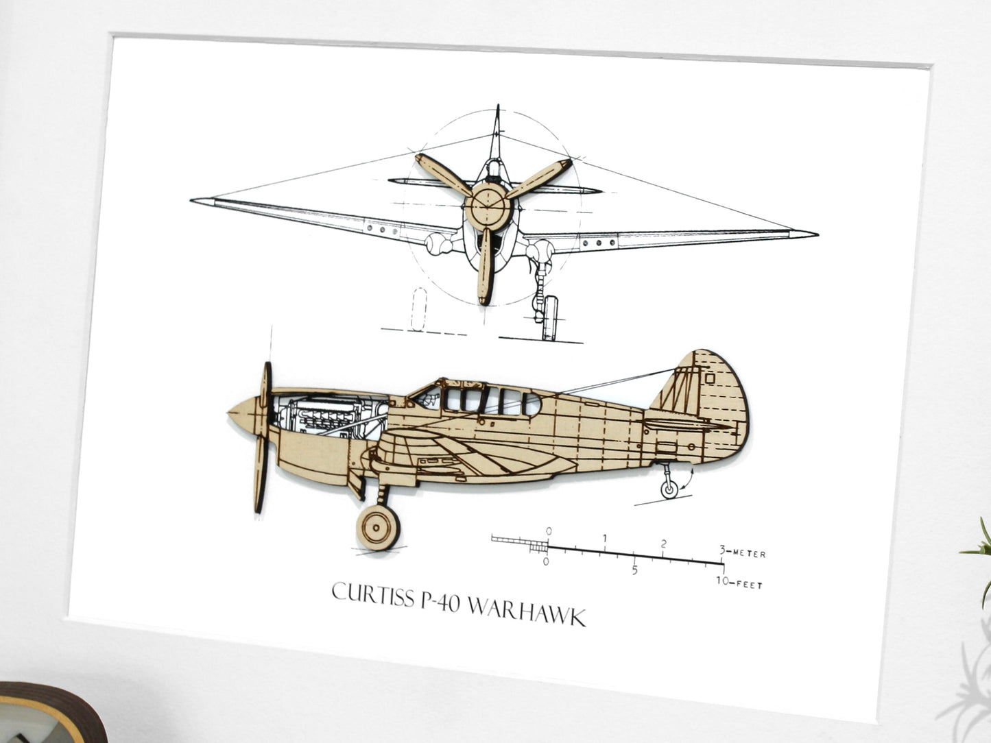 Curtiss P-40 Warhawk aviation blueprint art