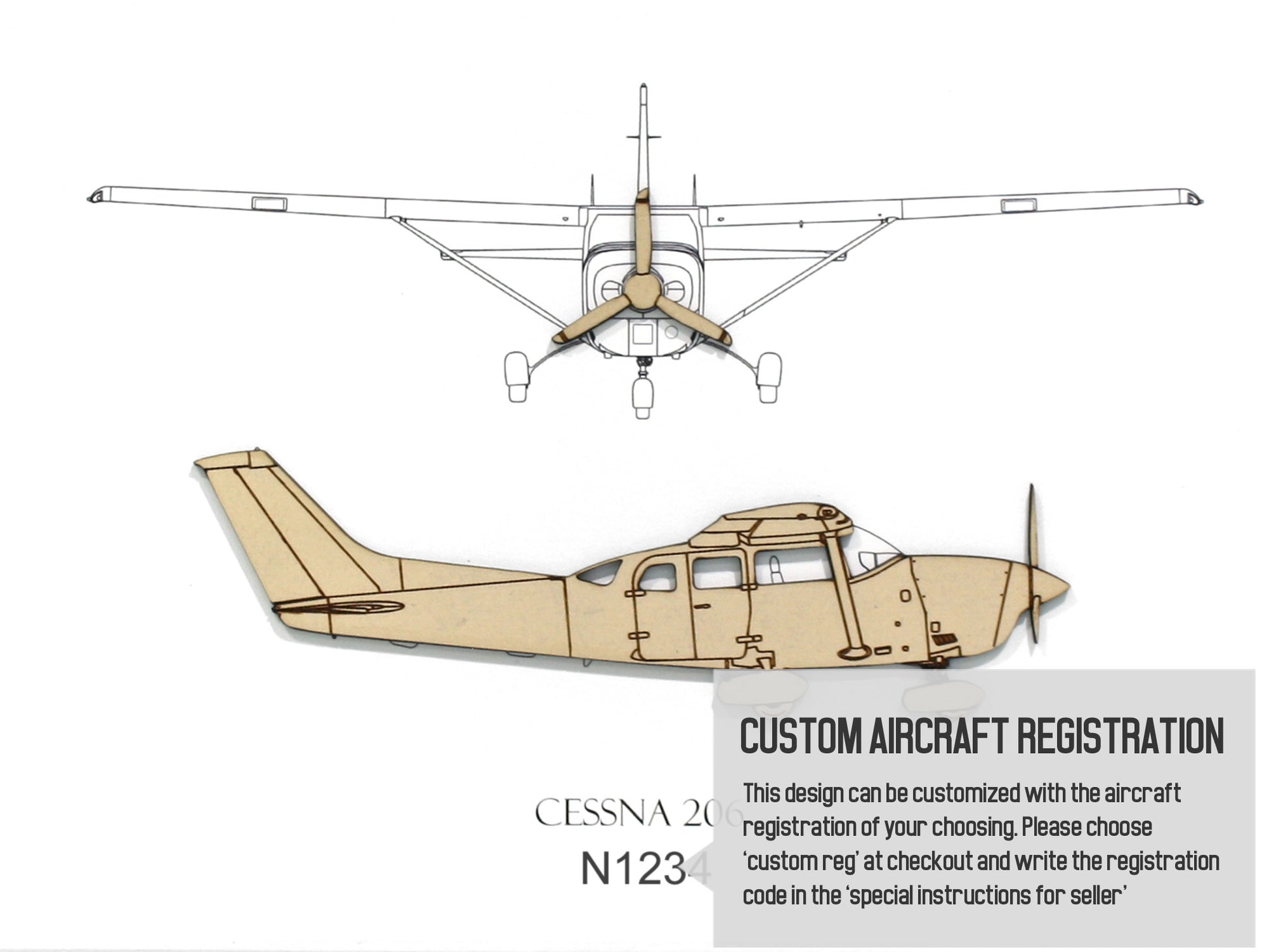 Cessna 206 custom aviation art