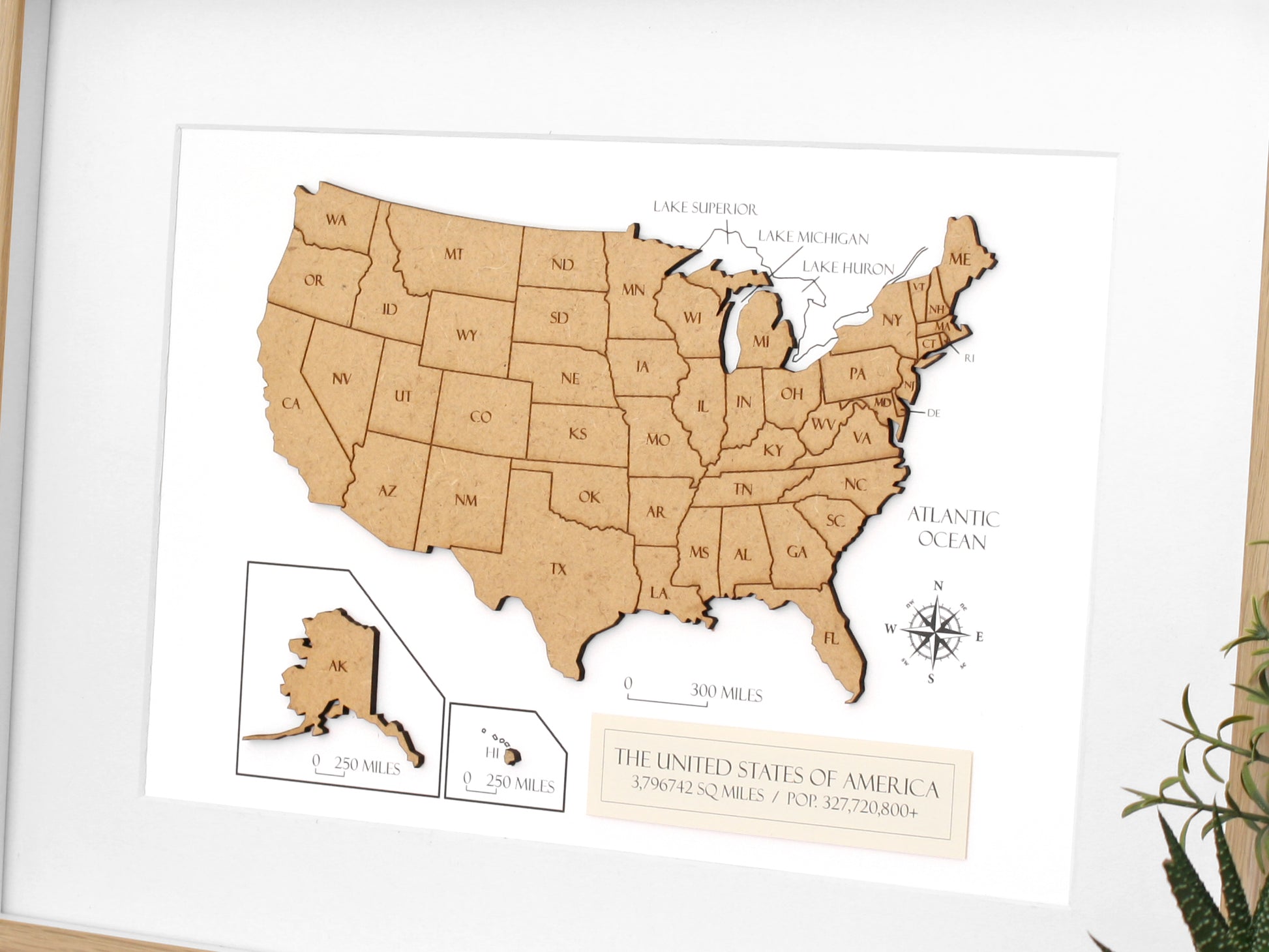 Custom engraved wood map of America