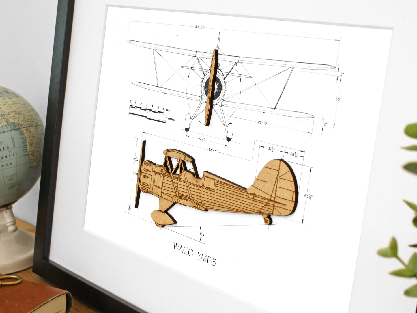 Waco YMF-5 biplane art