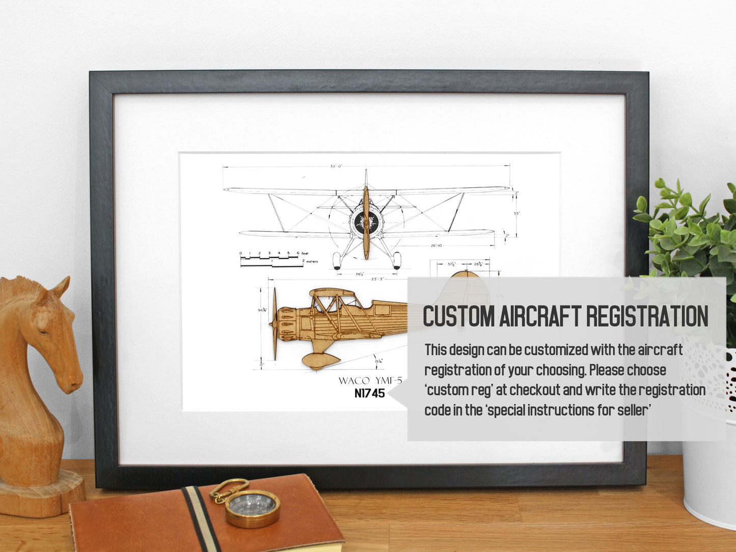 custom biplane art