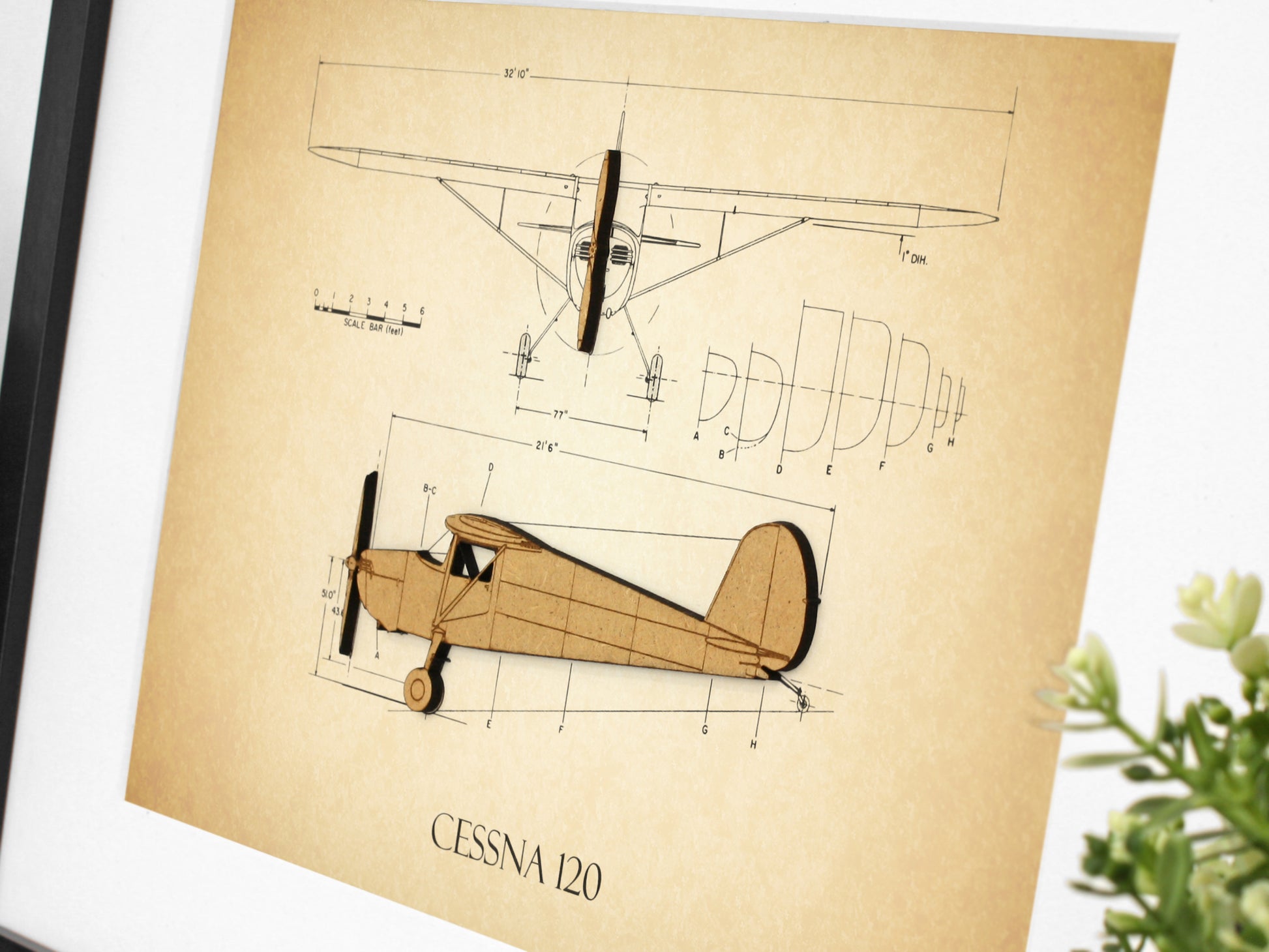 Cessna 120 aviation gifts, vintage blueprint