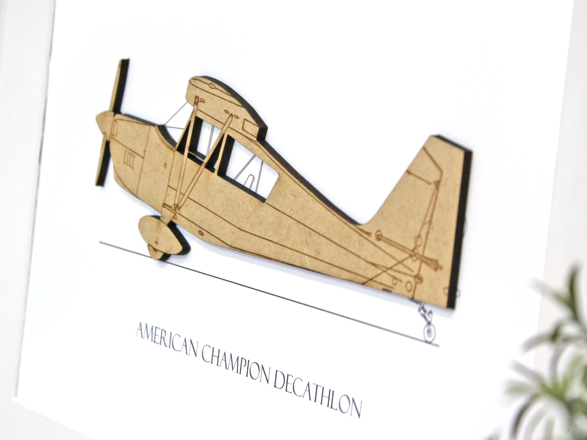 American Champion Decathlon aviation gifts