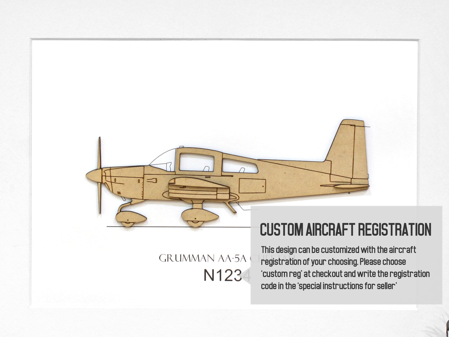 Grumman AA-5A Cheetah Aviation Art
