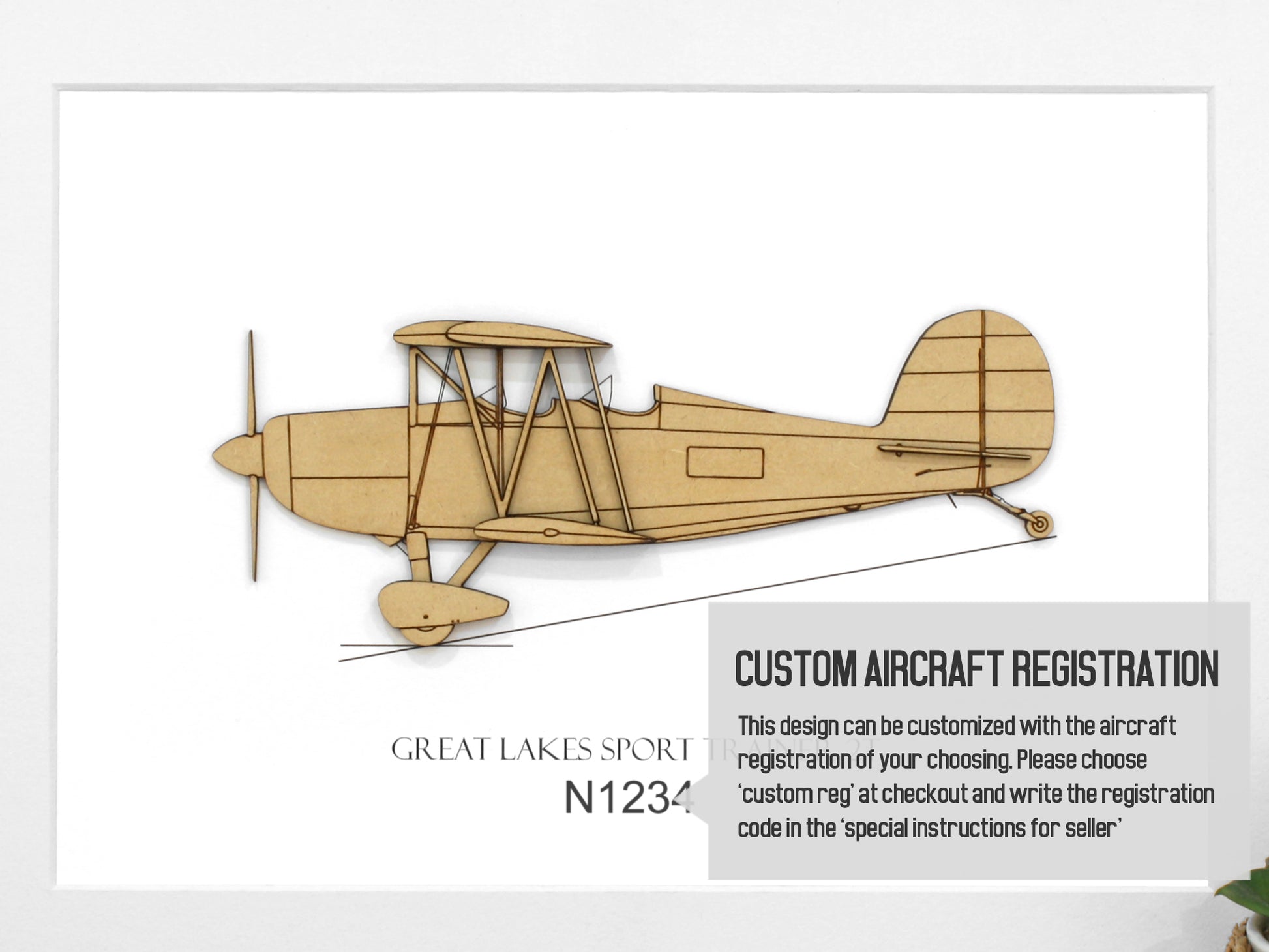 Great Lakes 2T biplane aviation gifts