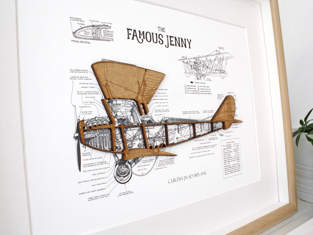 Biplane blueprint wall art, aviation decor